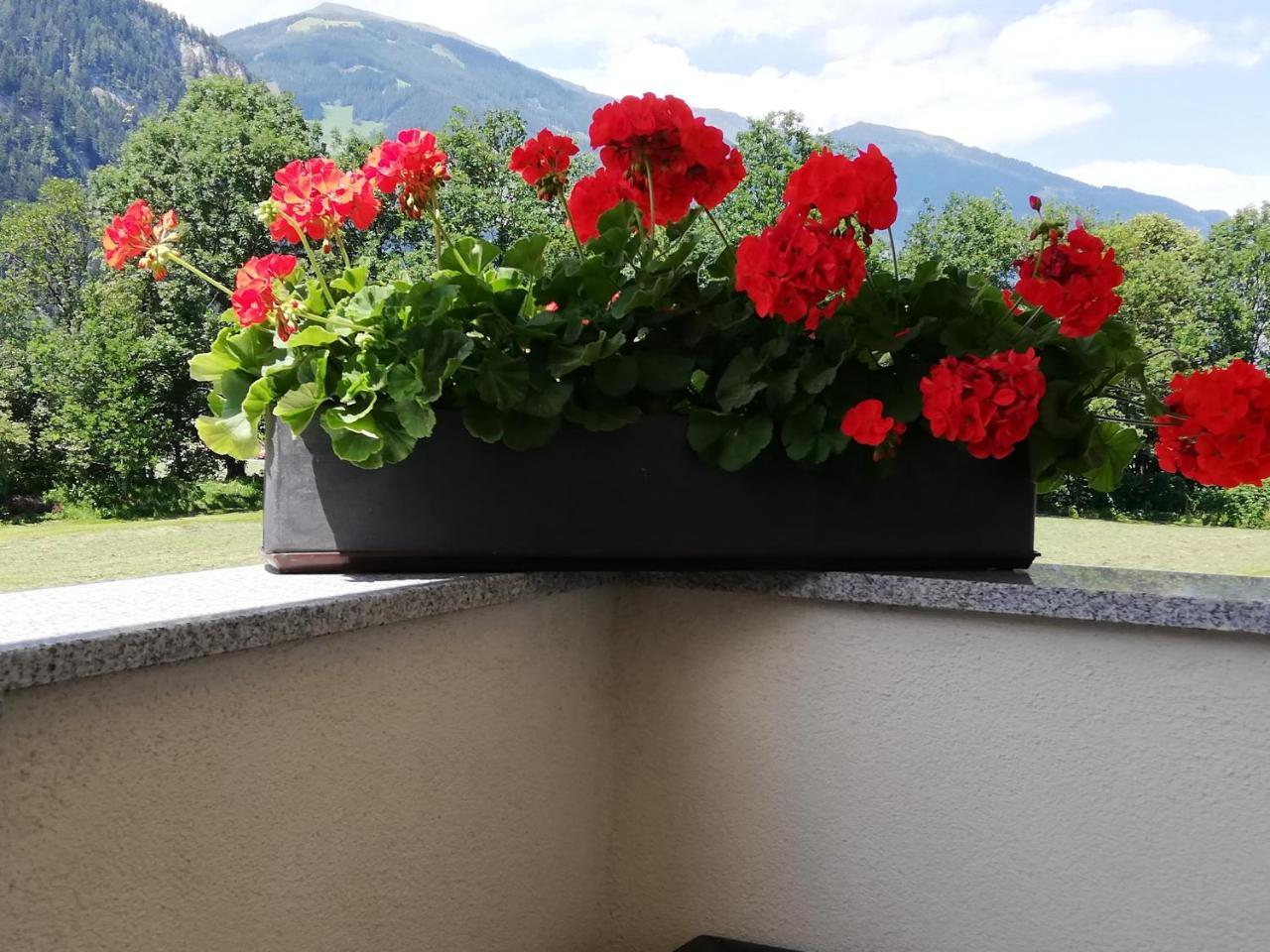 Apart Manuel Mayrhofen Exterior foto